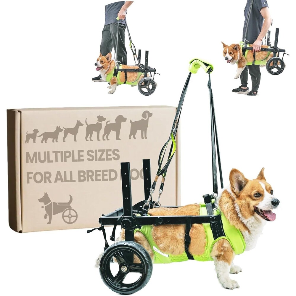 Dog Wheelchair for Back Legs, Adjustable M-L Dog All Terrain Wheelchair NOB